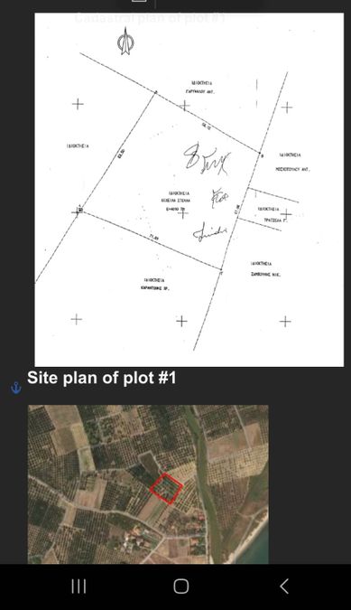 Снимка 311290454