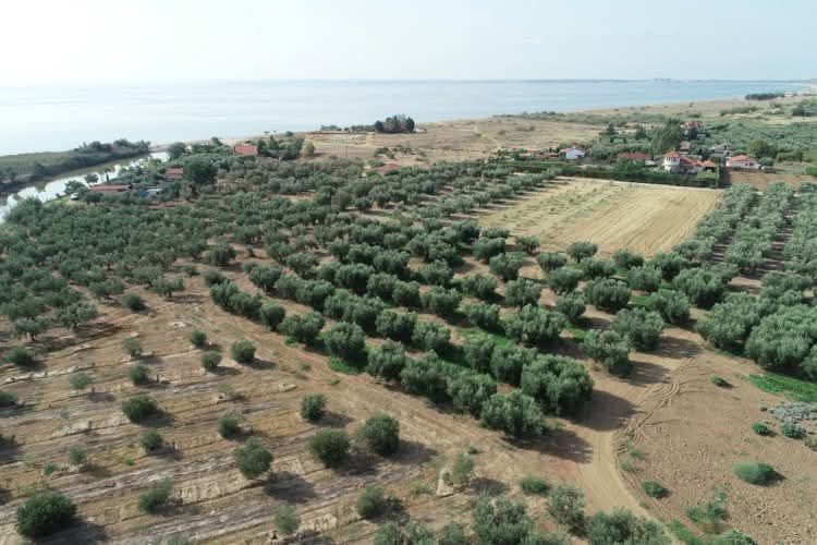 Снимка 311290457