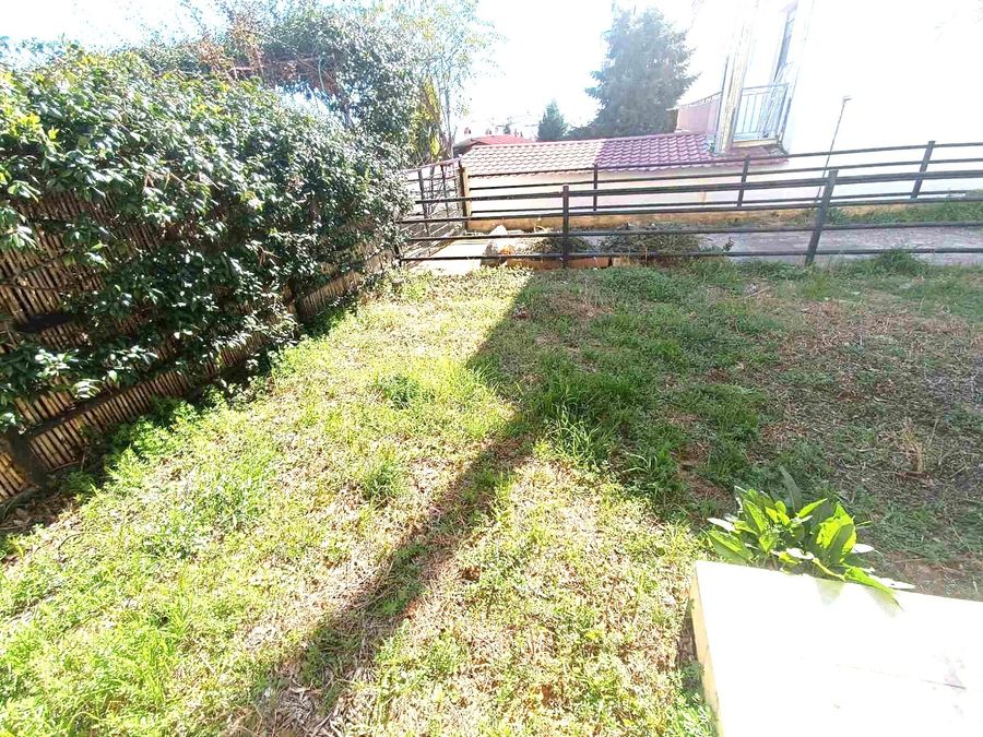 Photo 311293628