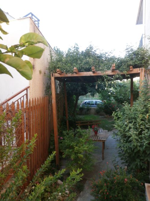 Photo 311582039