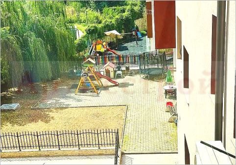 Снимка 311606693