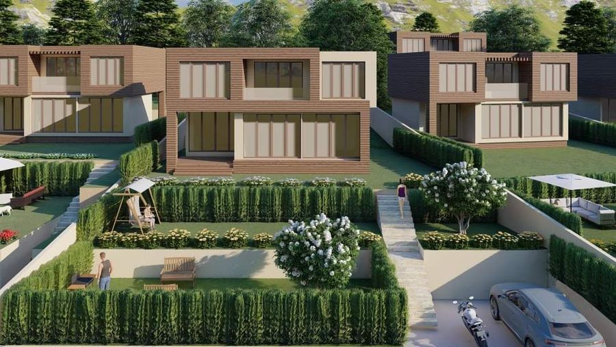 Снимка 311925689