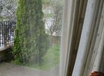 Photo 312187241