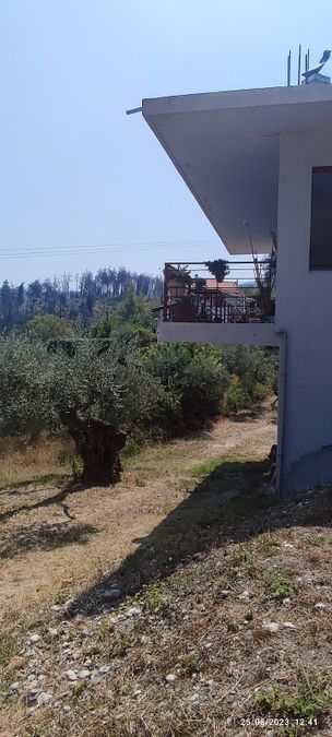 Photo 312279887