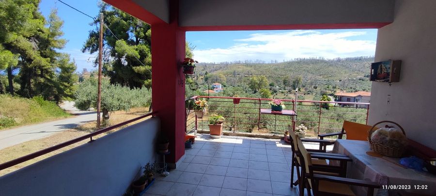 Photo 312279902