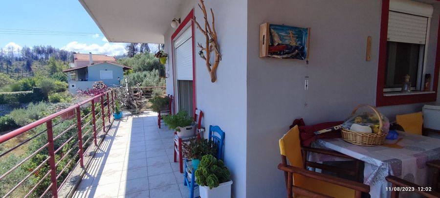 Photo 312279905