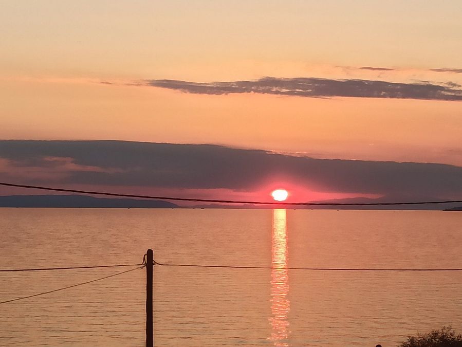 Photo 312379643