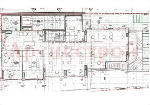 Снимка 312563900