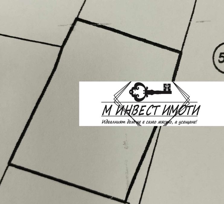 Снимка 312774770