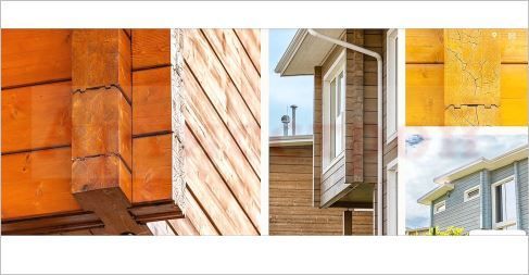 Снимка 312959186