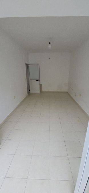 Foto 313079576