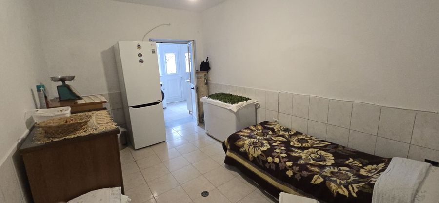 Foto 313079579
