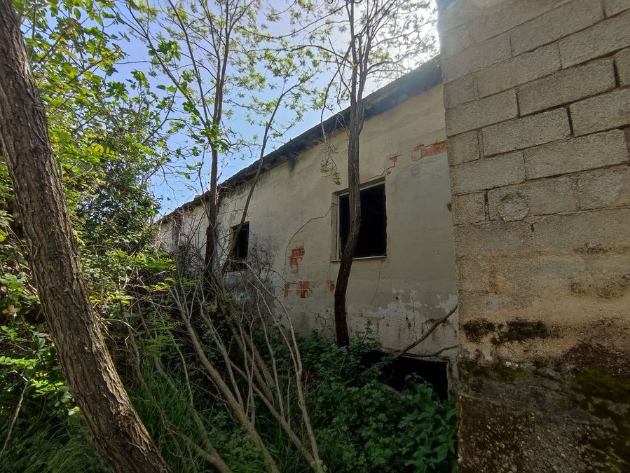 Photo 313224905