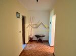Foto 313228499
