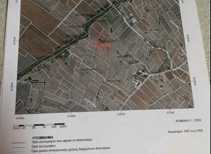 Αγροτεμάχιο προς πώληση Πολύδροσος (Παρνασσός) 4.500 τ.μ.