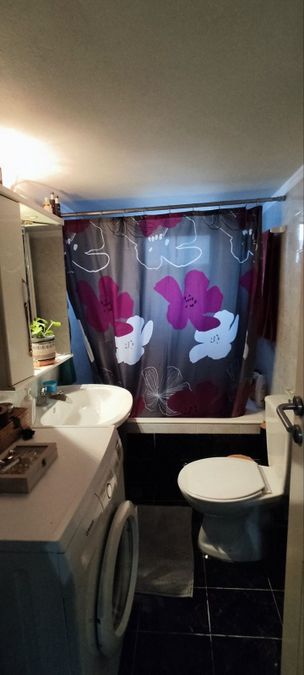 Photo 313751975
