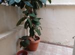 Photo 313861286