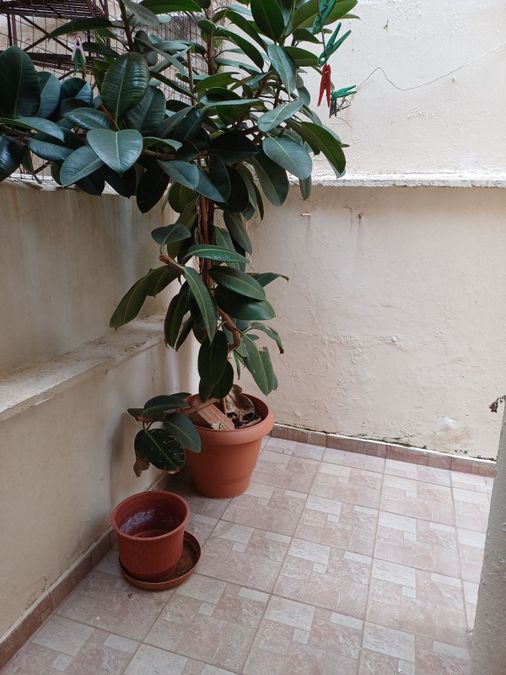 Photo 313861286