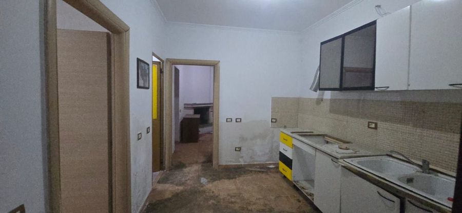 Foto 313871813