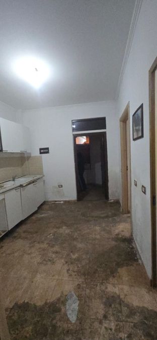 Foto 313871822