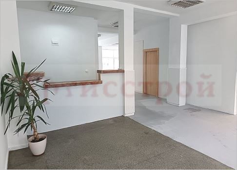 Снимка 313911431