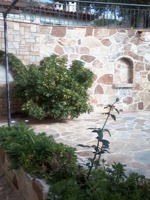 Photo 314307008