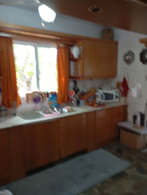 Foto 314776337