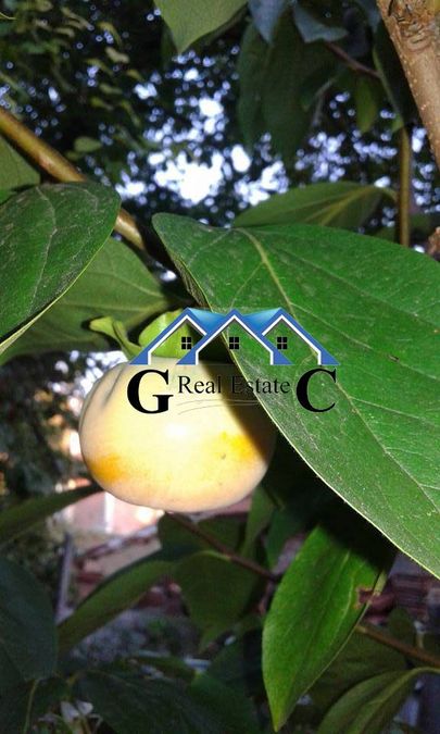 Снимка 314808212