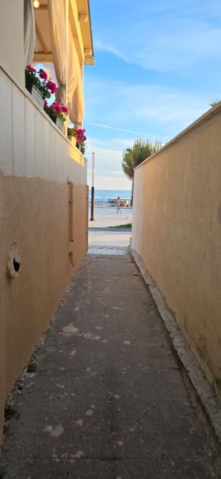 Foto 314895065