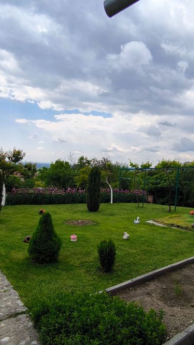 Снимка 315460202