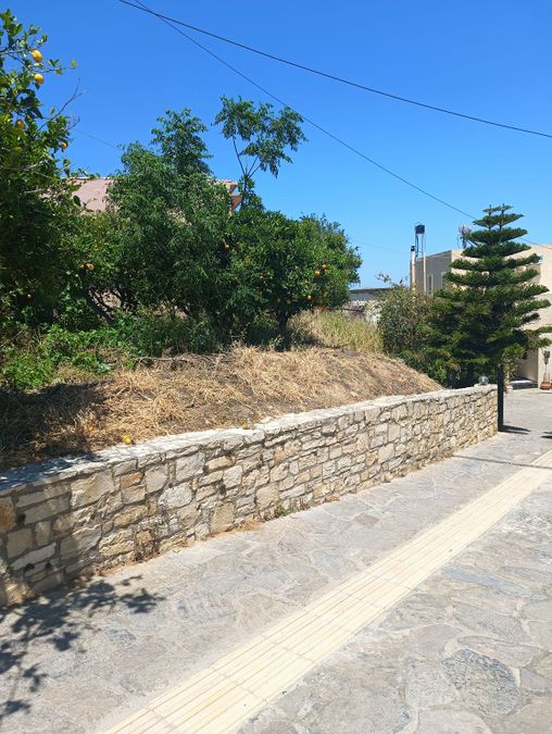 Fotografie 315872198