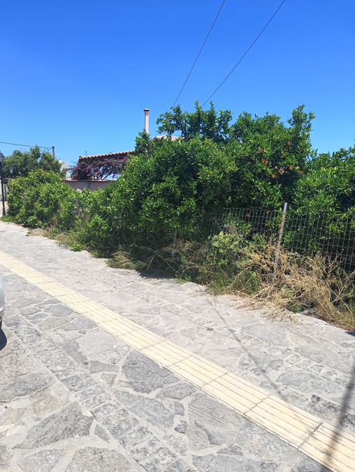 Fotografie 315872201