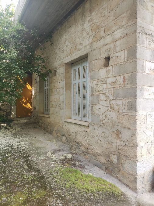Photo 316043129