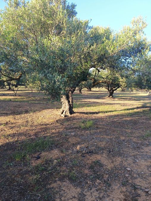 Photo 316206152
