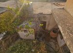 Photo 316317578