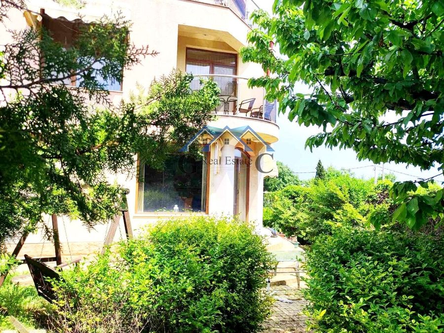 Снимка 316356989