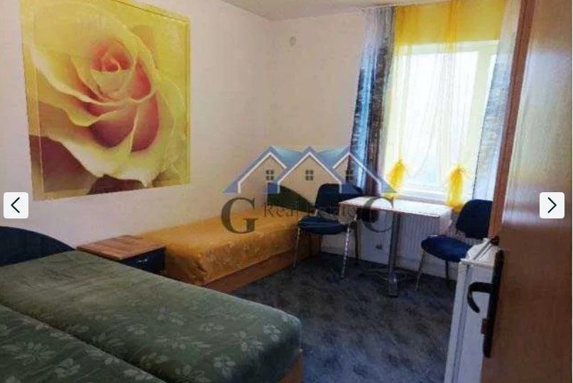 Снимка 316367675