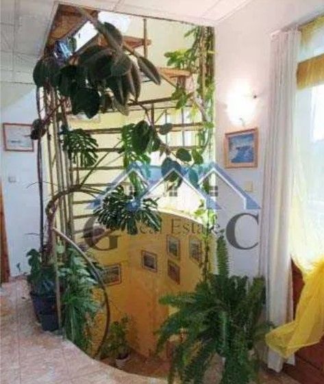 Снимка 316367681