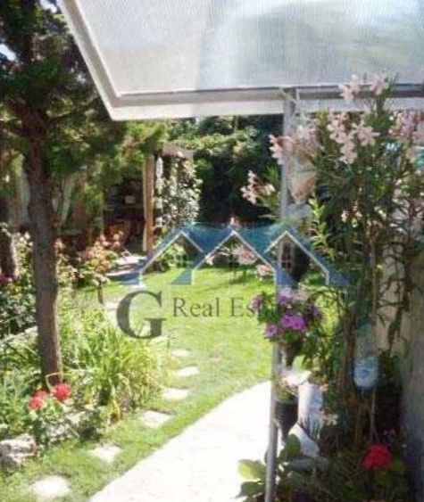 Снимка 316367717