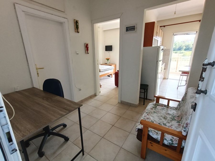 Fotografías 316520222