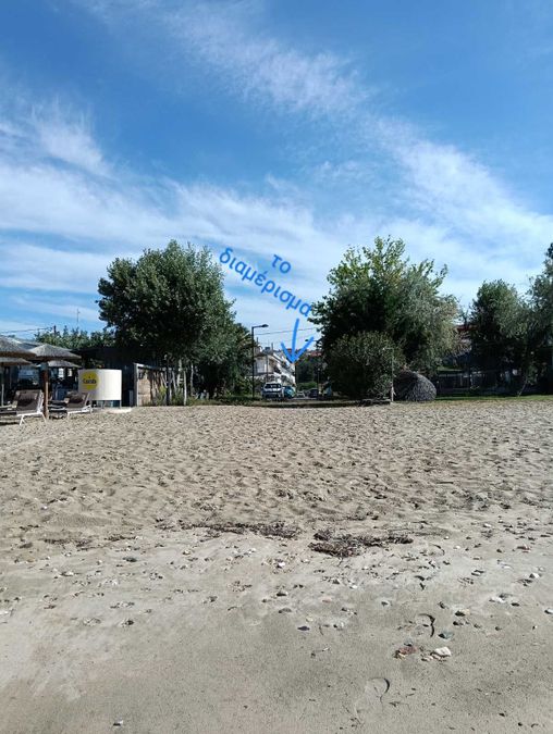 Fotografías 316520228