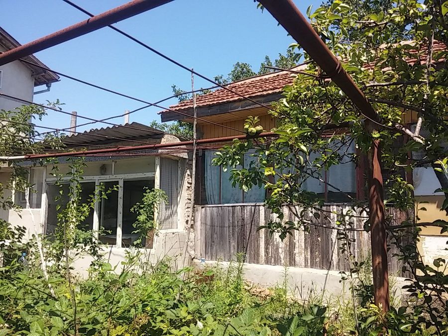 Снимка 316926794