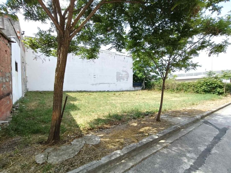 Foto 316975229