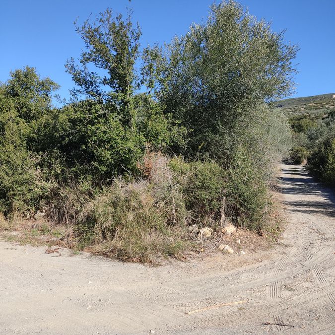 Photo 317110133