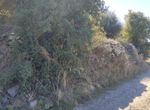 Photo 317110136