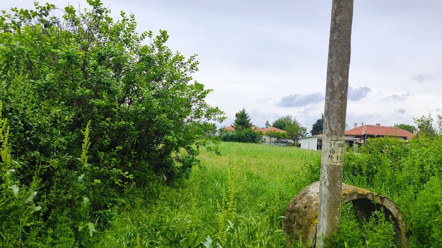 Снимка 317324858