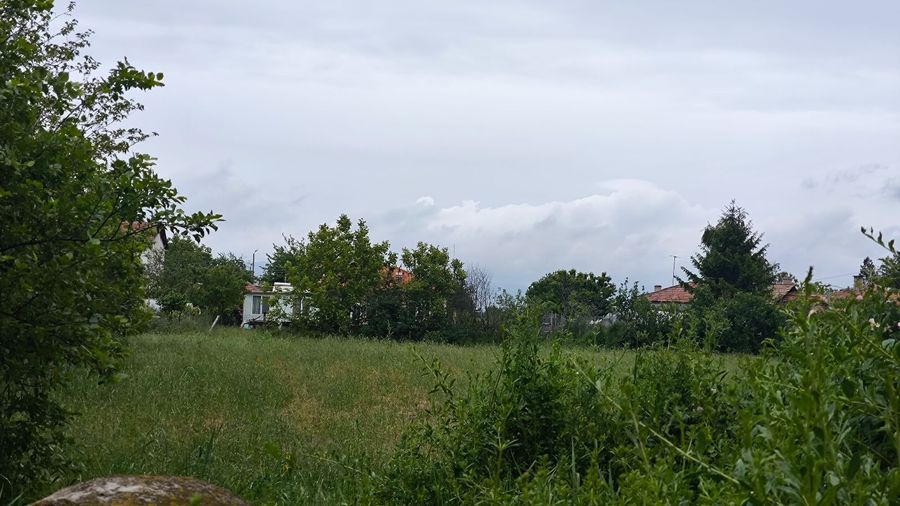 Снимка 317324861