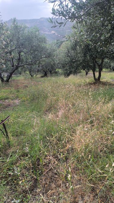 Photo 317353112