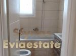 Photo 317362640