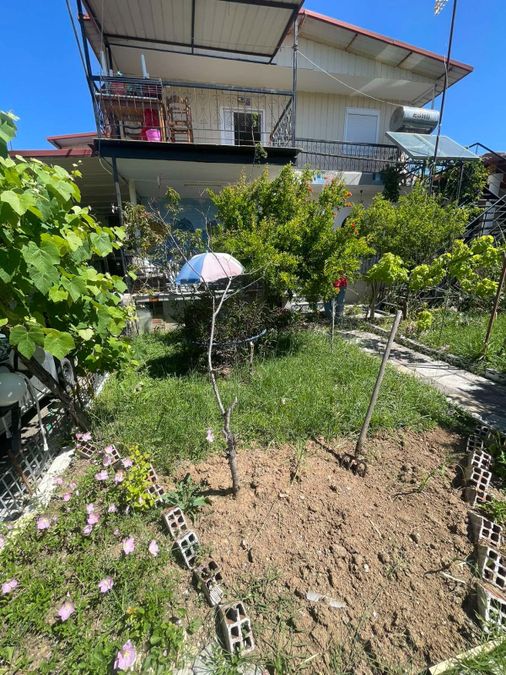 Fotografie 317575016